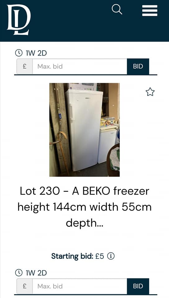 Beko freezer